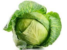 Cabbage