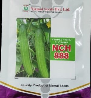 (10 gm.) निर्मल सीड्स एन.सी.एच 888 / Nirmal seeds NCH 888